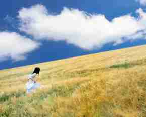 搜﻿索﻿算﻿法‍机‍制﻿